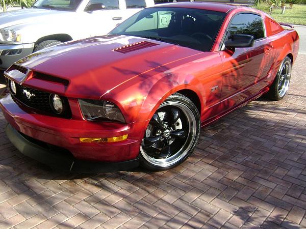 Ponies on The Run!-tms1.jpg