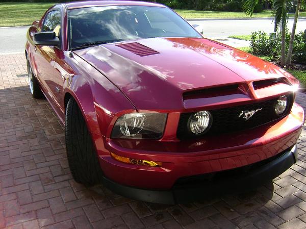 Ponies on The Run!-tms4.jpg