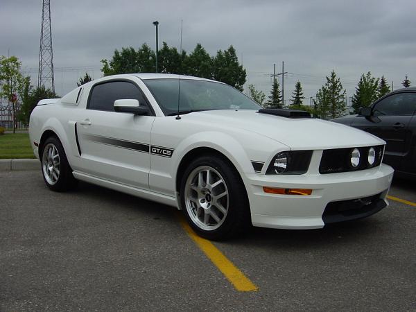 Ponies on The Run!-dsc06580c.jpg