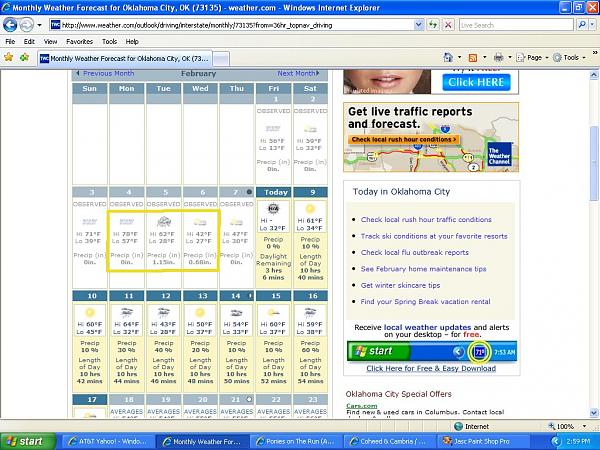 Ponies on The Run!-weather.jpg