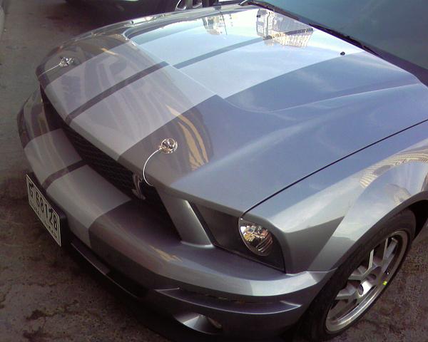 Ponies on The Run!-sp_a0265.jpg