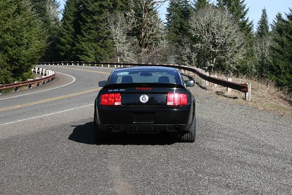 Nice Sunny Day, New GT500,   PRICELESS!!!-img_5068s.jpg