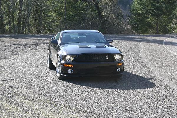 Nice Sunny Day, New GT500,   PRICELESS!!!-img_5076s.jpg