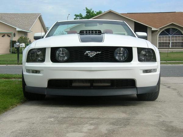 Ponies on The Run!-dscn7235.jpg