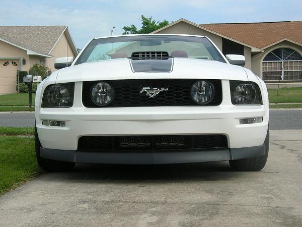 Ponies on The Run!-dscn7239.jpg