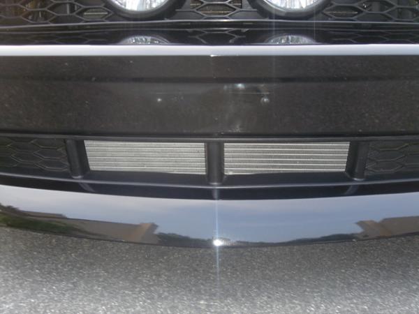 Ponies on The Run!-dsc00125.jpg