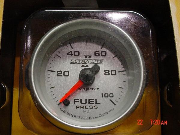 Ponies on The Run!-dsc02129.jpg