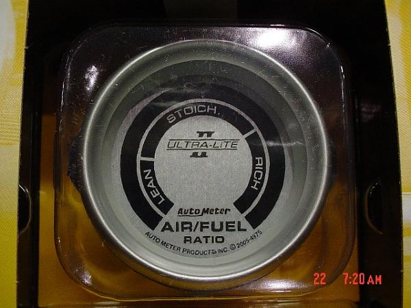 Ponies on The Run!-dsc02131.jpg