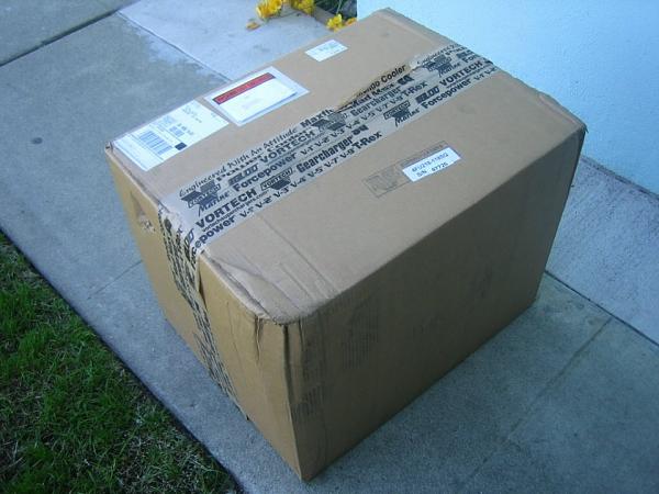 Ponies on The Run!-vortech.jpg