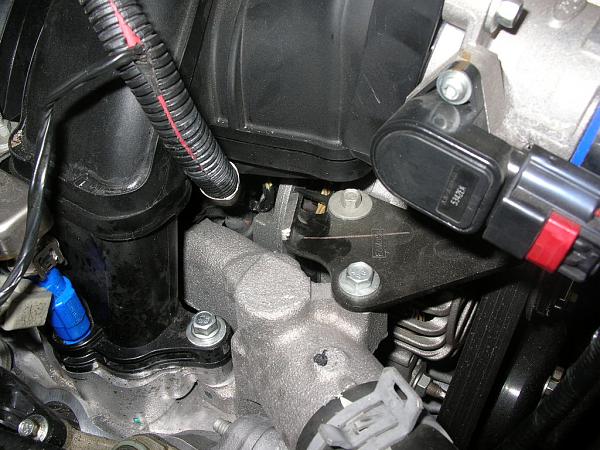 Ponies on The Run!-dscn7260.jpg