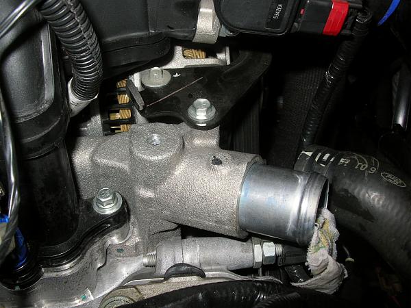 Ponies on The Run!-dscn7262.jpg