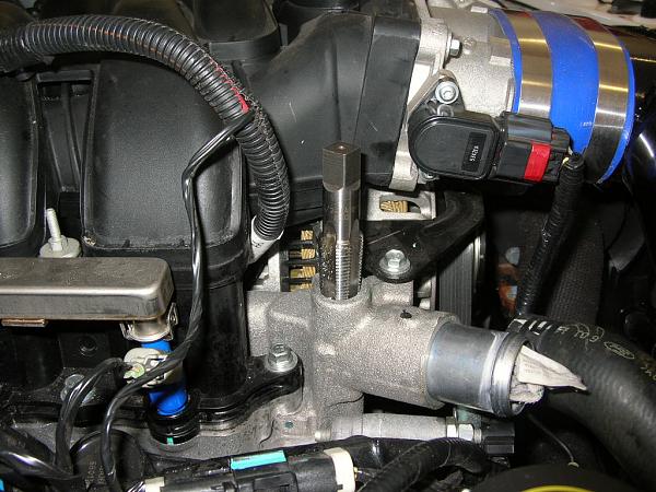 Ponies on The Run!-dscn7263.jpg