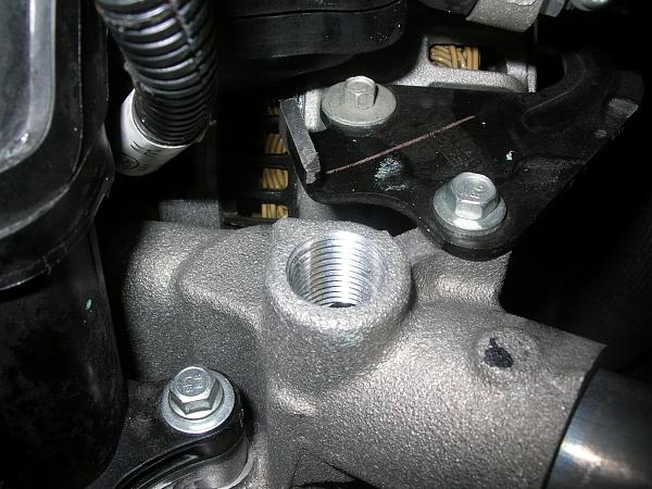 Ponies on The Run!-dscn7264.jpg