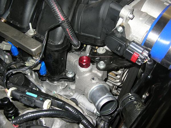 Ponies on The Run!-dscn7265.jpg