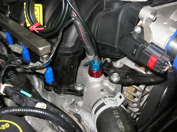 Ponies on The Run!-dscn7266.jpg