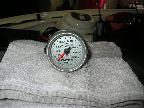 Ponies on The Run!-dscn7267.jpg