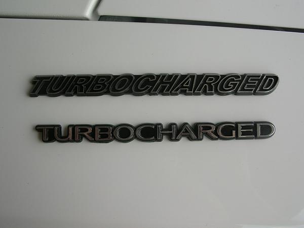 Ponies on The Run!-dscn7269.jpg