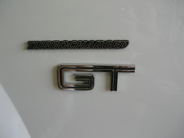 Ponies on The Run!-dscn7270.jpg