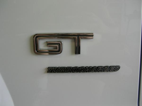 Ponies on The Run!-dscn7271.jpg