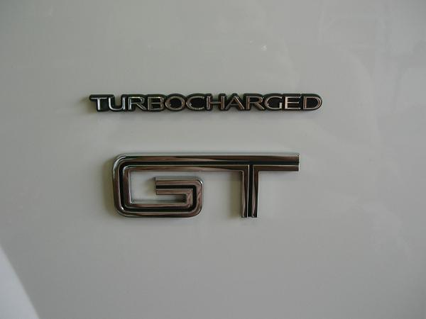 Ponies on The Run!-dscn7272.jpg