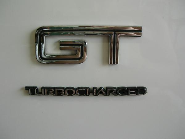 Ponies on The Run!-dscn7273.jpg