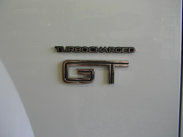 Ponies on The Run!-dscn7276.jpg