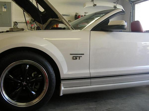 Ponies on The Run!-dscn7277b.jpg