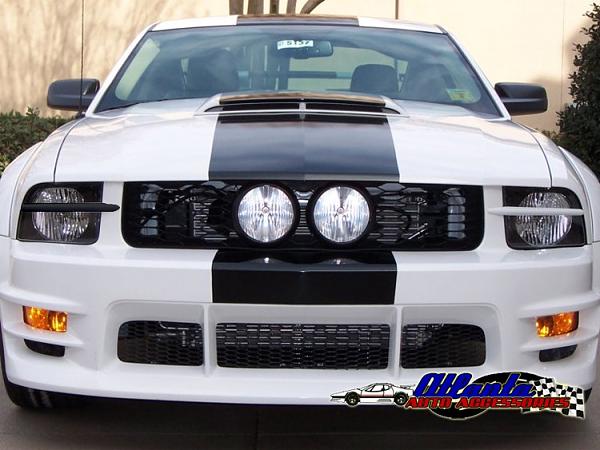 Ponies on The Run!-3d691029_bwm.jpg