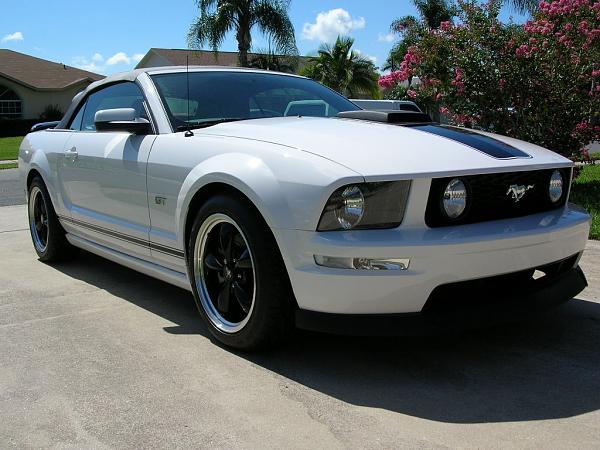 Ponies on The Run!-dscn3674.jpg