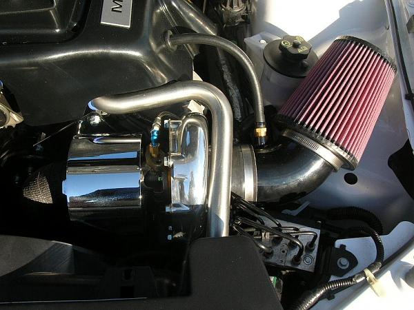 Ponies on The Run!-dscn6719.jpg