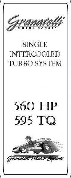 Ponies on The Run!-gms3jpgb.jpg