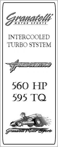 Ponies on The Run!-gms3jpgc.jpg