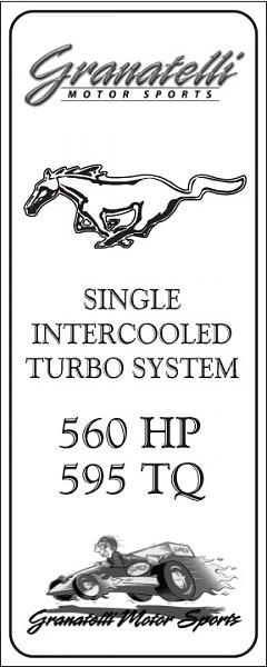 Ponies on The Run!-tms-01.jpg