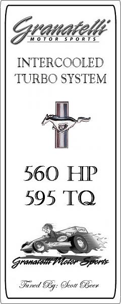 Ponies on The Run!-gms3jpge.jpg