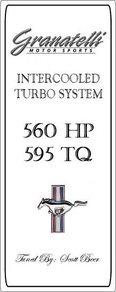 Ponies on The Run!-gms3jpgf.jpg