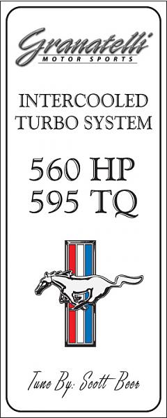 Ponies on The Run!-tms-02.jpg