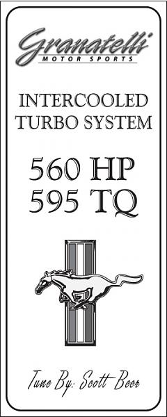 Ponies on The Run!-tms-03.jpg