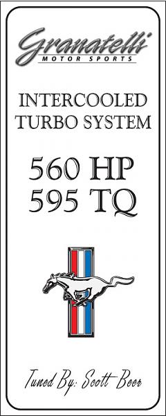 Ponies on The Run!-tms-02.jpg