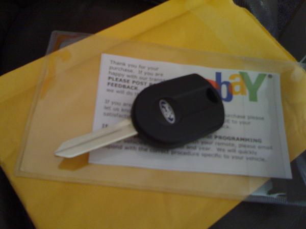 Ponies on The Run!-img_0161.jpg