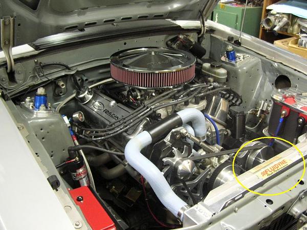 Ponies on The Run!-dscn5555b.jpg