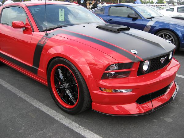 Ponies on The Run!-img_0706.jpg