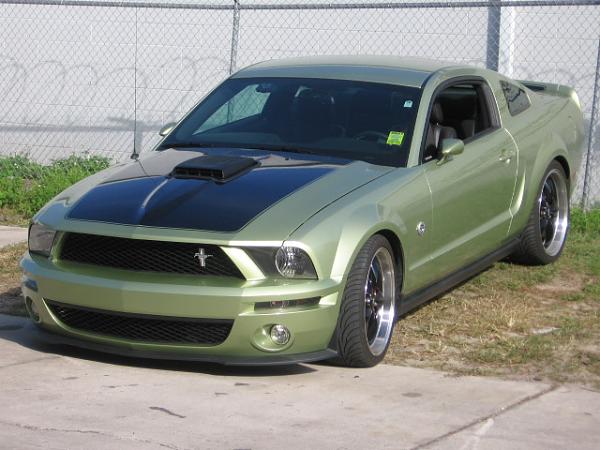 Ponies on The Run!-asppg_oh427905202.jpg