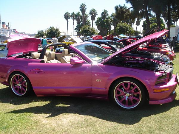 Ponies on The Run!-qm10027.jpg