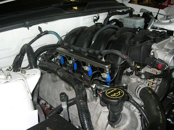 Ponies on The Run!-dscn6681.jpg