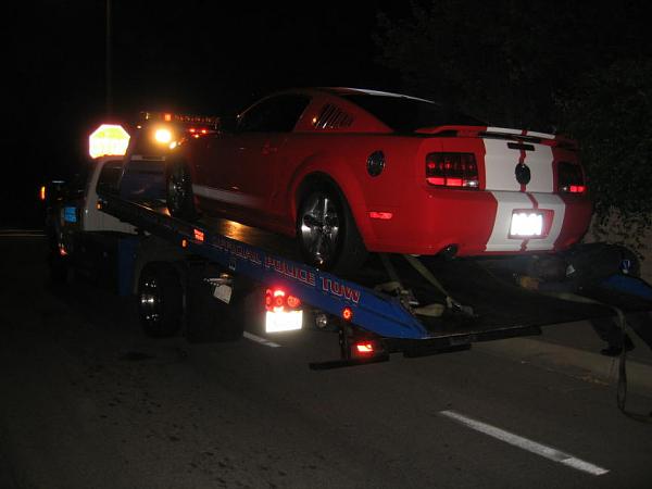 Ponies on The Run!-shes-dead-jim.jpg