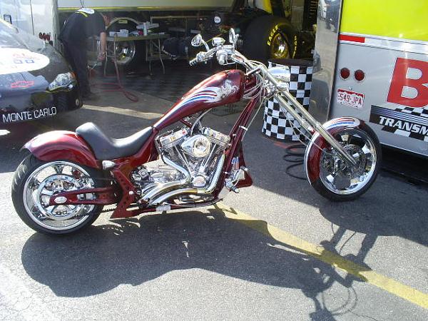 Ponies on The Run!-s5031702.jpg