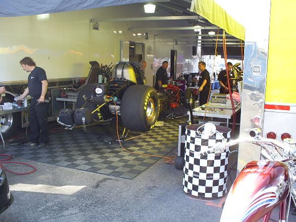 Ponies on The Run!-s5031703.jpg