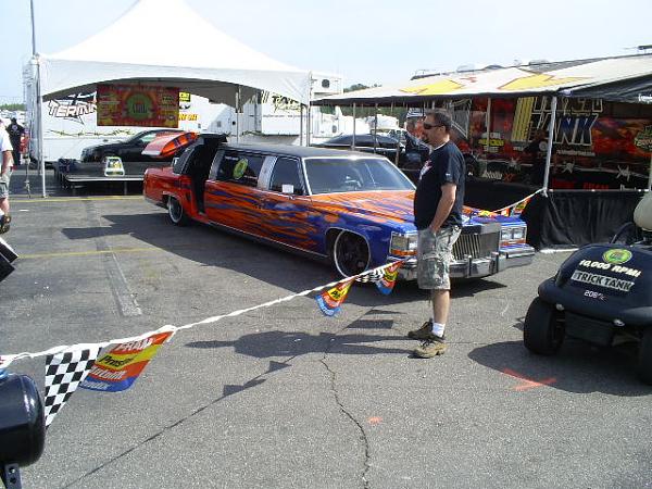 Ponies on The Run!-s5031705.jpg