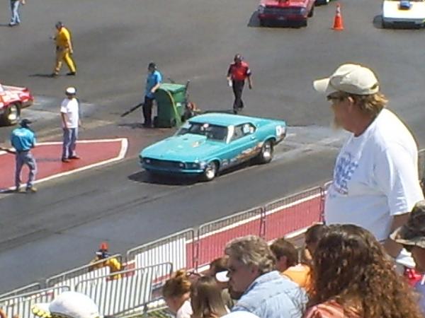 Ponies on The Run!-s5031713.jpg