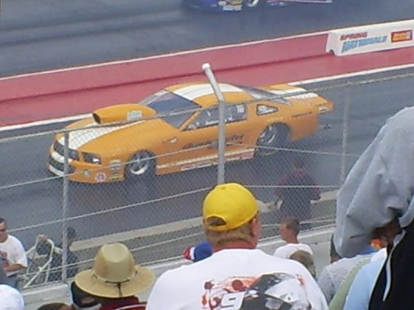 Ponies on The Run!-s5031718.jpg